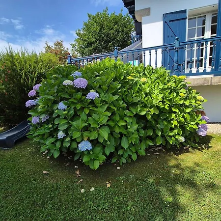 Basque Climatisee Et Piscine Chauffee, Jardin Verdoyant Vakantiehuis Arbonne